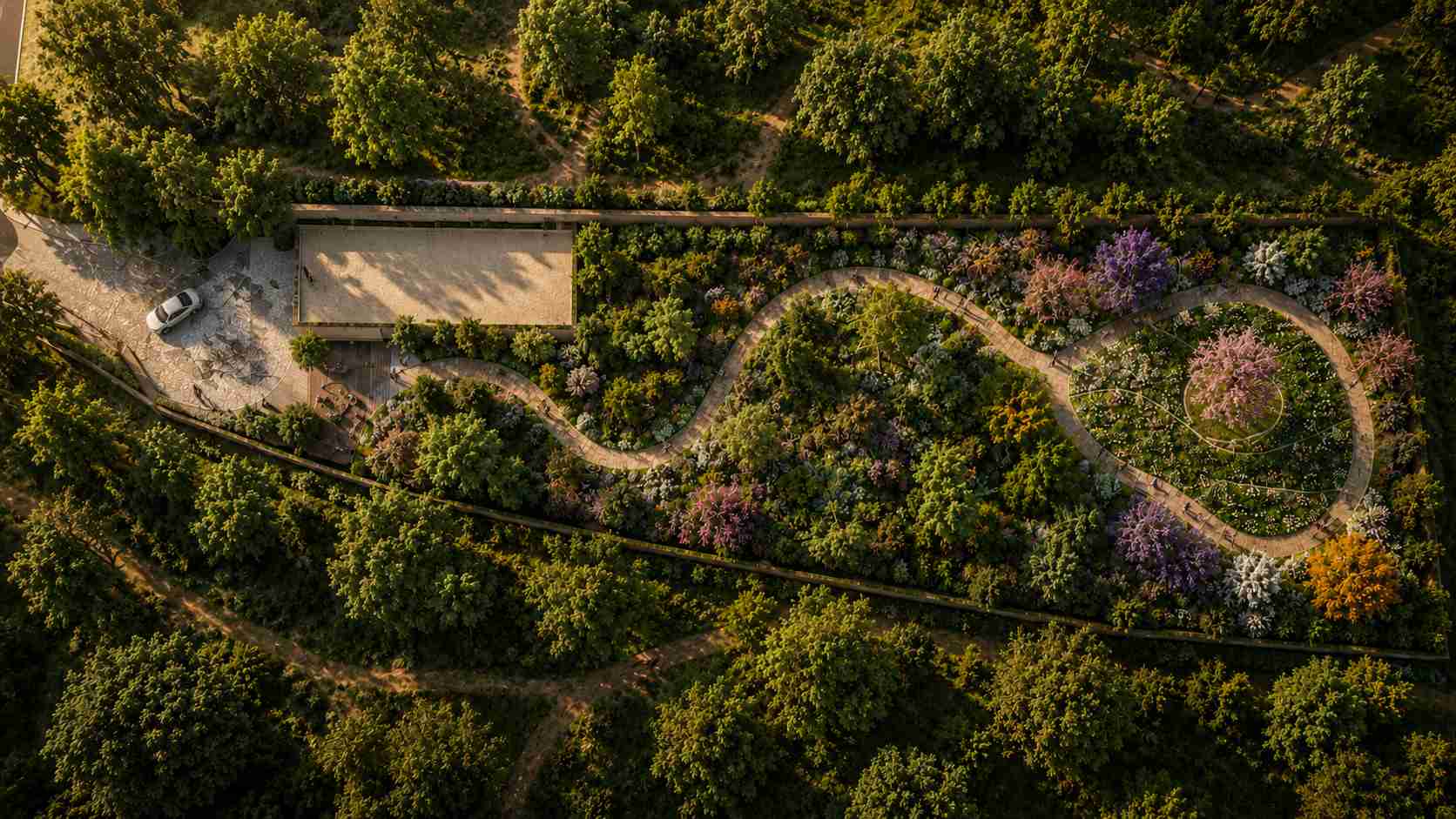 The 4.2-Acre Miyawaki Forest at ORA Land BluBay