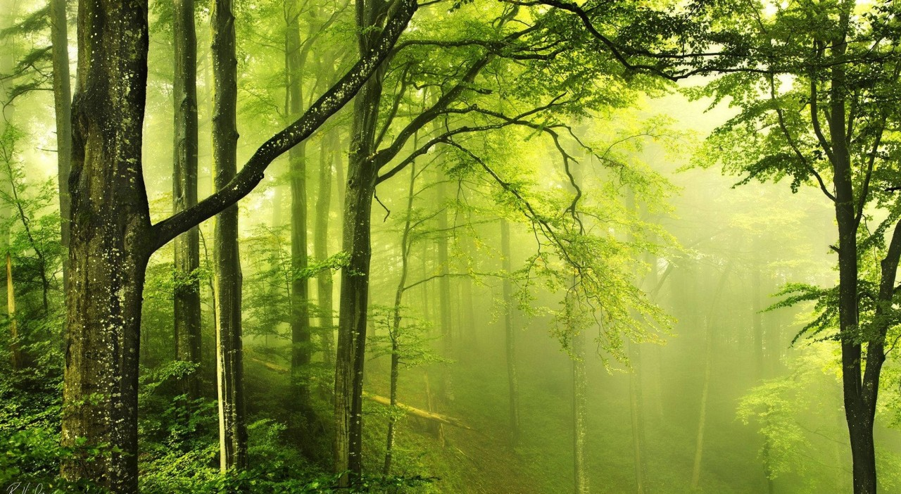 Quiet Nature Escapes & Waterbodies